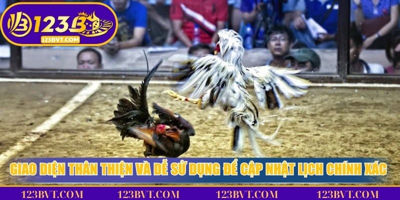 Giao diện xem lịch đá gà online rõ ràng, dễ thao tác và hiển thị thông tin trận đấu theo giờ Việt