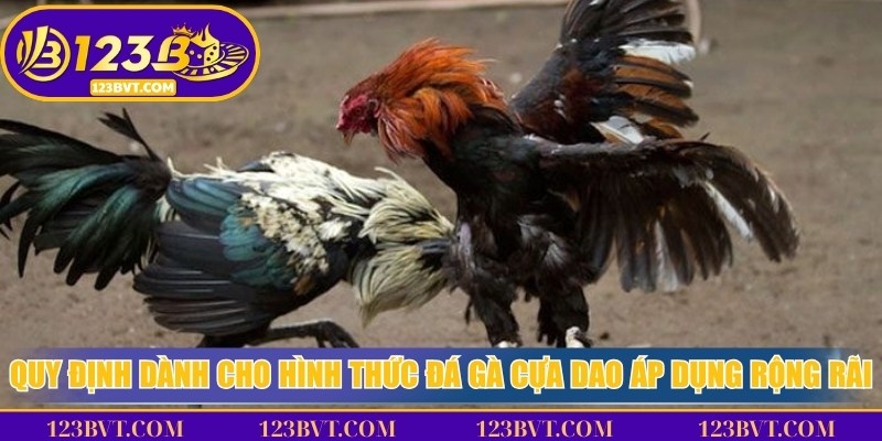 Luật đá gà cựa dao: thời lượng trận, thời gian nghỉ giữa hiệp và điều kiện xử thắng thua khi chiến kê gục hoặc bỏ chạy